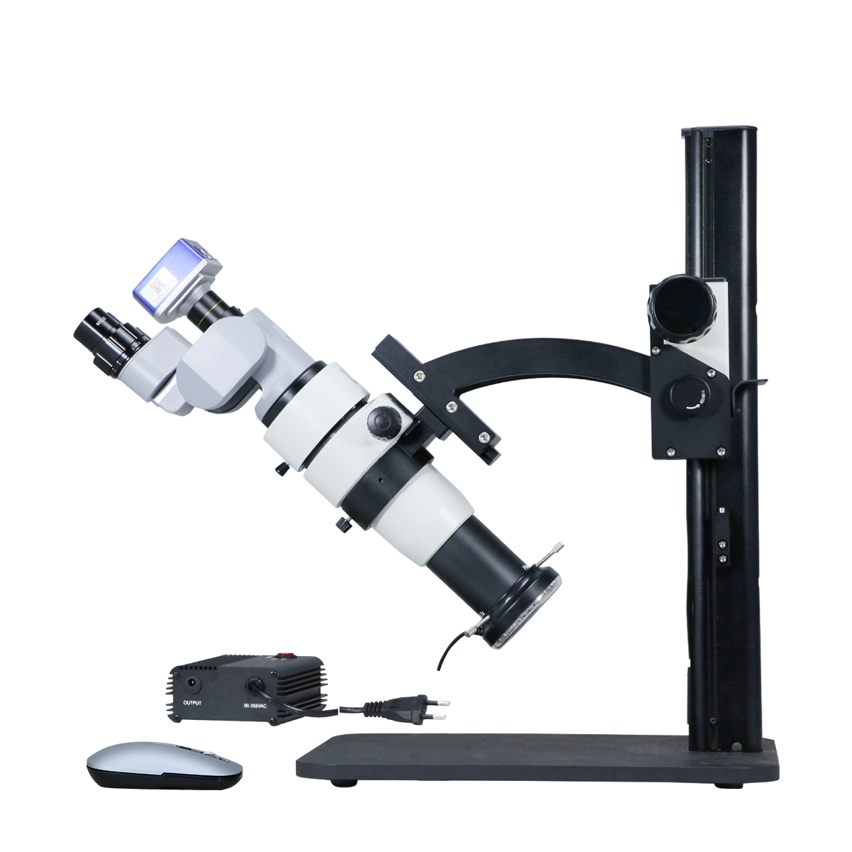 Stereo Microscope